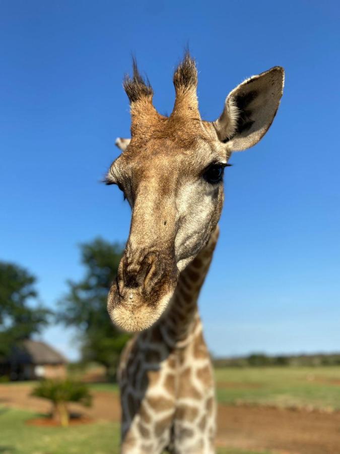Morakane Safari Lodge Vryburg Luaran gambar